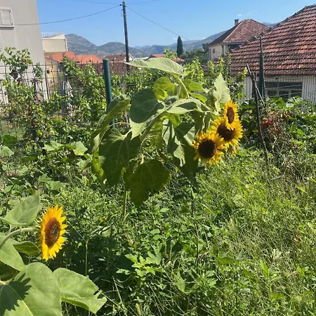 Gorica Hill Apartman *