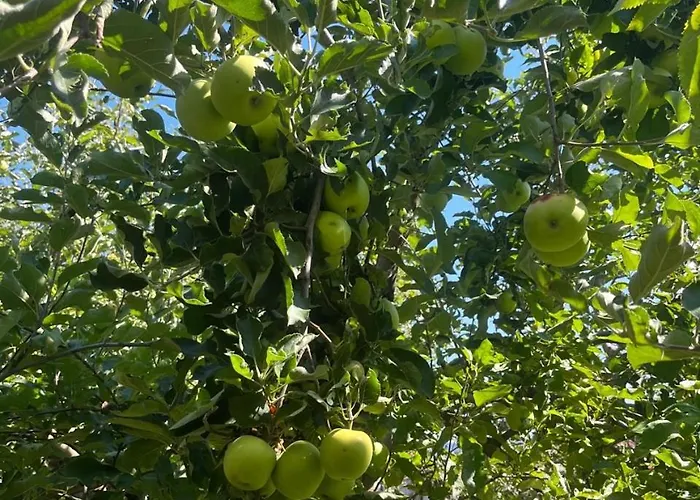 Gorica Hill * Podgorica