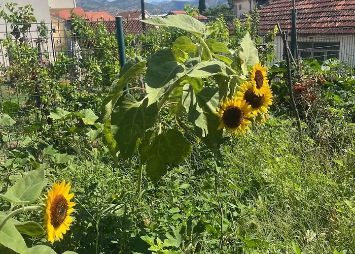 Gorica Hill Apartman *