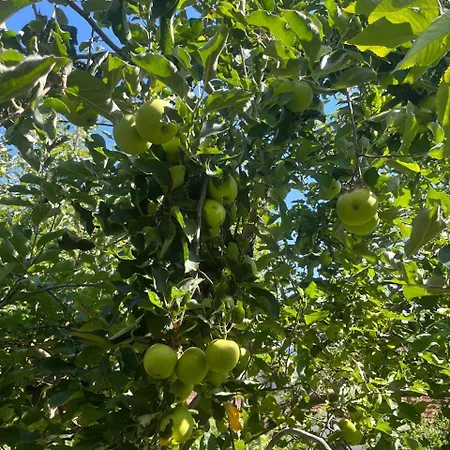 Gorica Hill * Подгориця