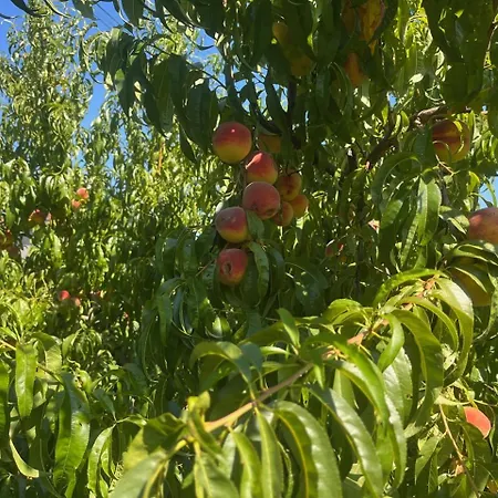 Gorica Hill Подгорица