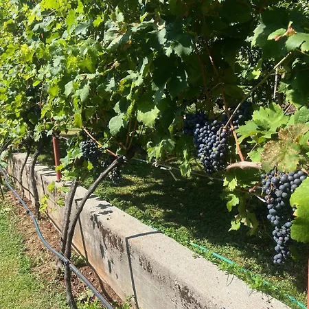 Gorica Hill Апартаменты