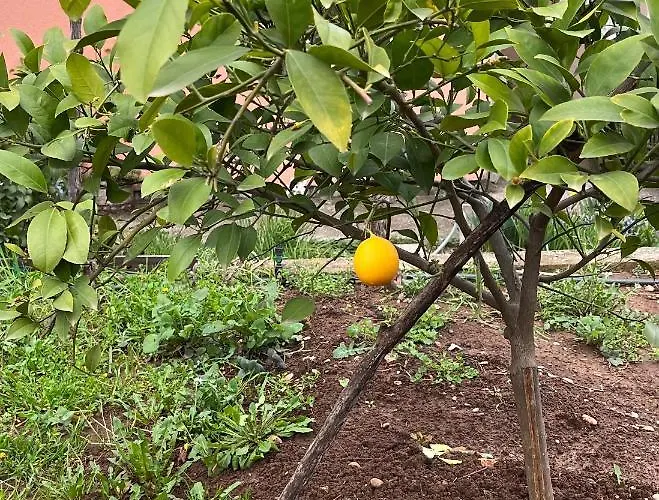 Appartement Gorica Hill