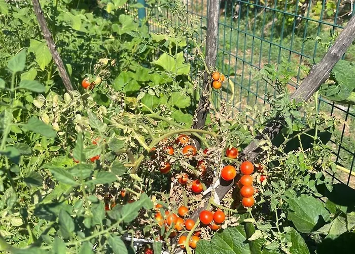 Appartement Gorica Hill Podgorica