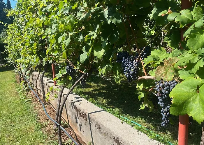 Gorica Hill Appartement